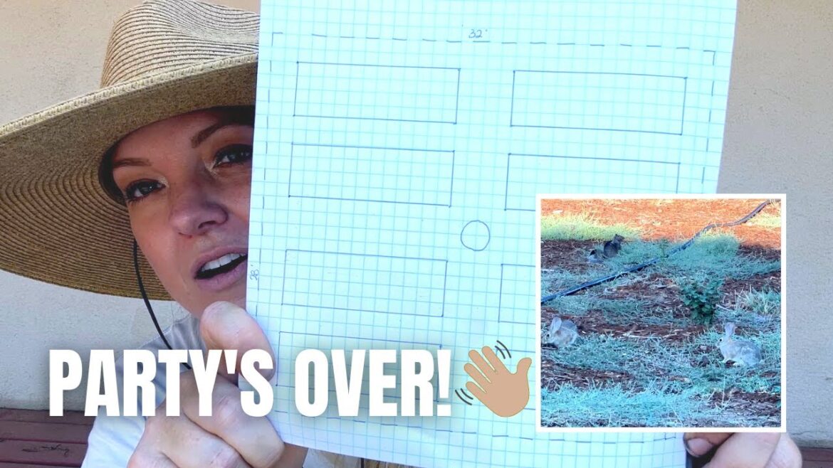 No-Till Garden Project Step 1: EVICTING THE CRITTERS!! :: Party’s Over, Time to GO AWAY! 😆 No-Till Garden Project Step 1: EVICTING THE CRITTERS!! :: Party's Over, Time to GO AWAY! 😆