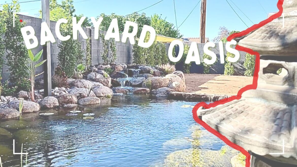 Building a POND for a soon to be AIRBNB in the middle of a CITY!