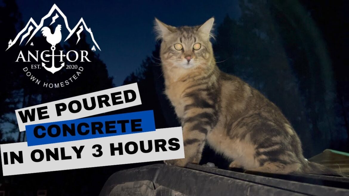 From Dreams to Reality: Pouring Concrete for Our DIY House Build | AnchorDownHomestead” HD 1080p From Dreams to Reality: Pouring Concrete for Our DIY House Build | AnchorDownHomestead" HD 1080p