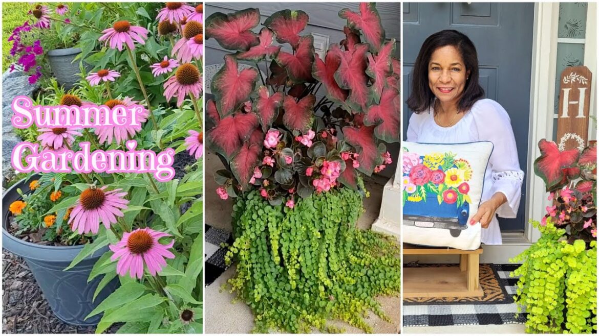 Summer Suburban Garden Tour & Look Back #gardening