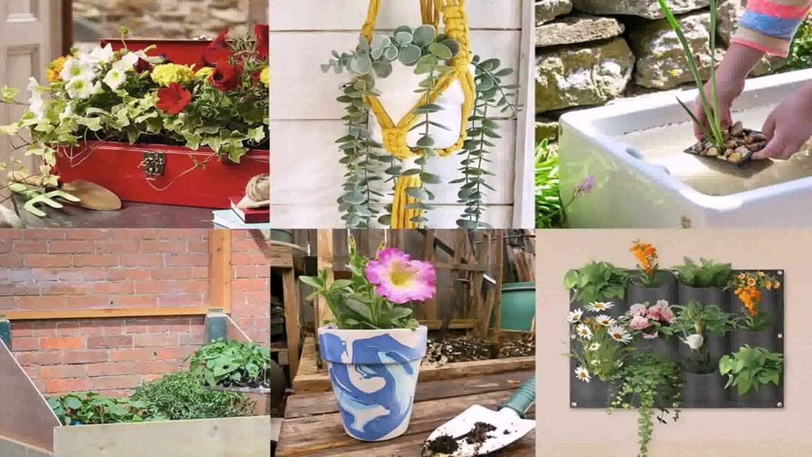 Back Garden Ideas On A Budget Uk