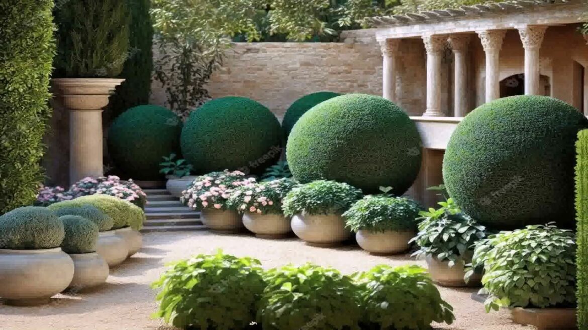 Front Yard Landscaping Ideas With Japanese Maple