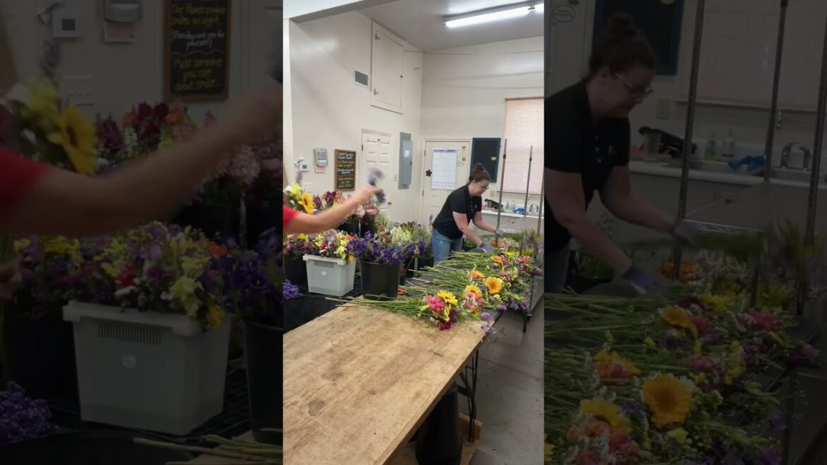 Cool Flowers can be a huge cash crop!