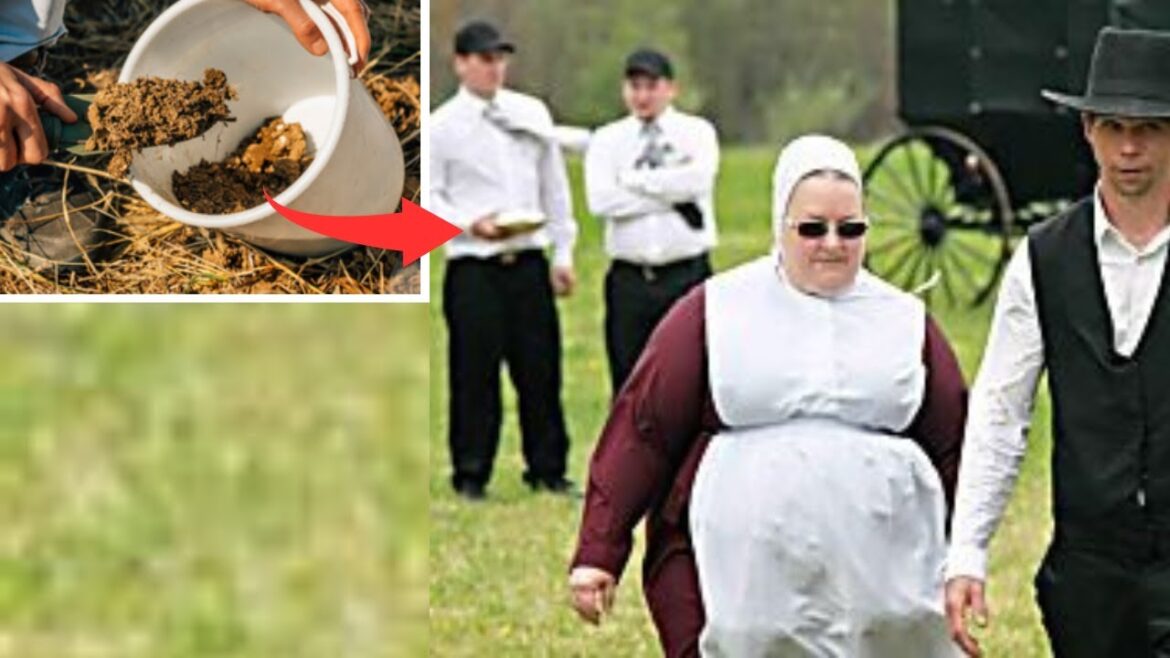40+ Amish Life Hacks The Government Doesn't Want You To Know