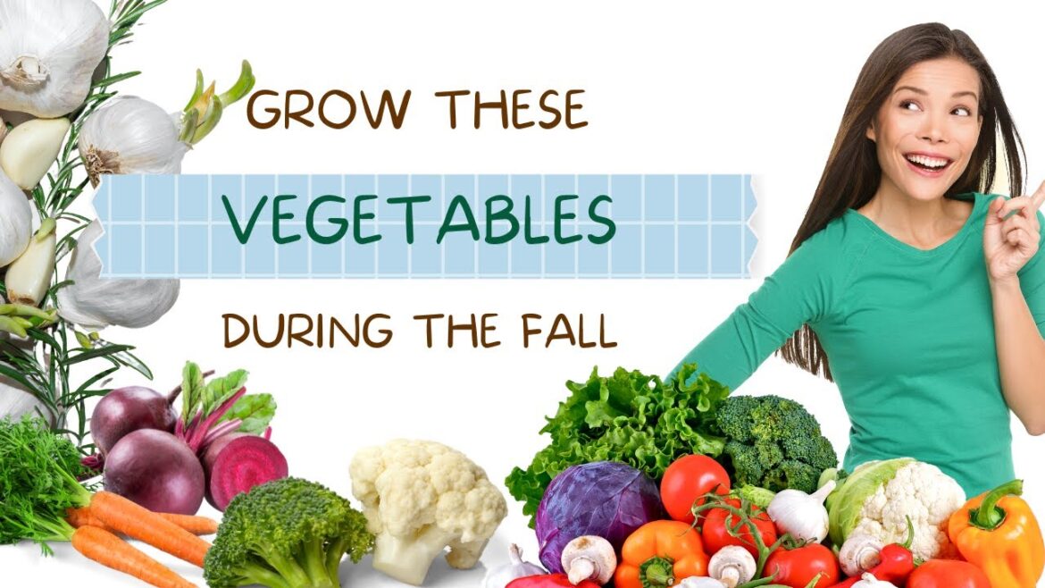 Best Vegetables to Grow During The Fall (cold) Season