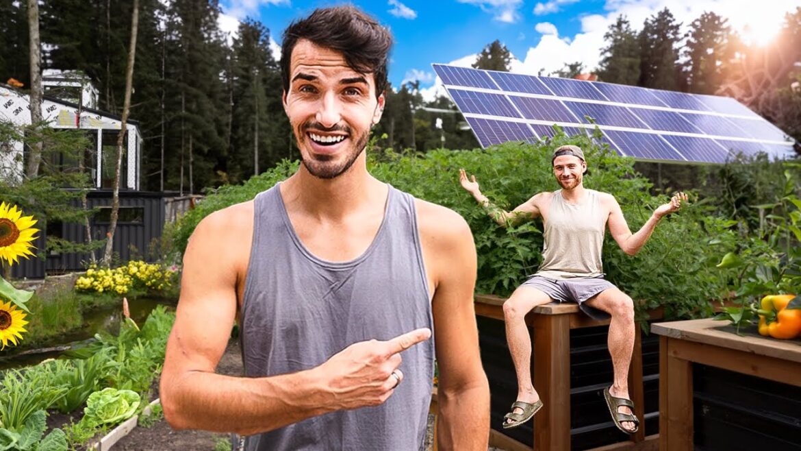 Our 10 Acre Homestead is THRIVING (Garden, Solar and MORE) Our 10 Acre Homestead is THRIVING (Garden, Solar and MORE)