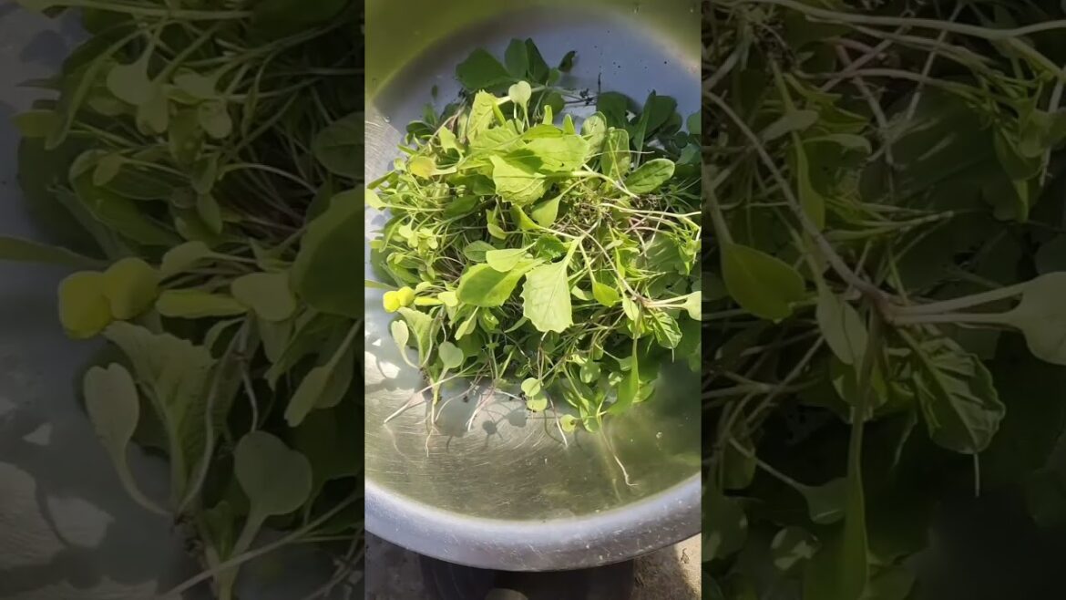 Beautiful Nature Garden Plan Natural life Style Beautiful landscapes