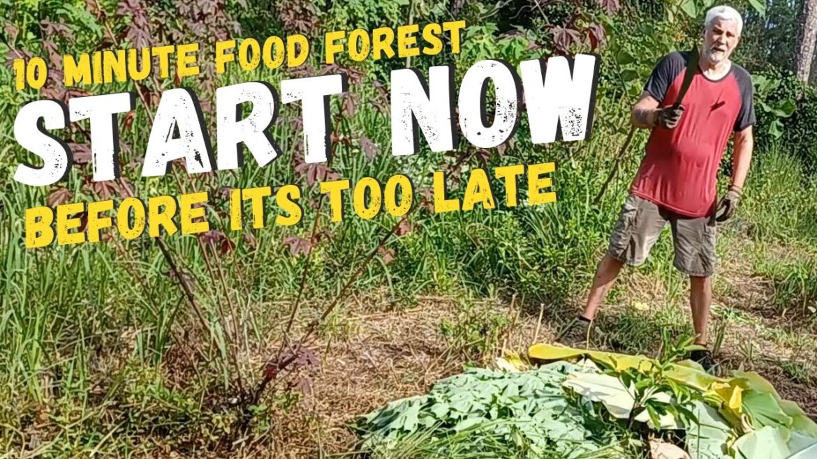 Future-Proof Food: GenXer's Advice for Gen Z and Millennials