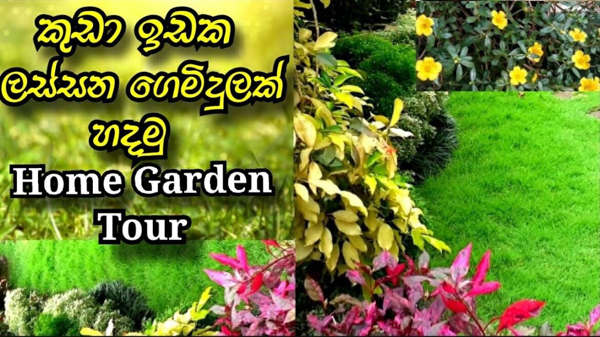 Home Garden Tour -October Home Garden Tour -October