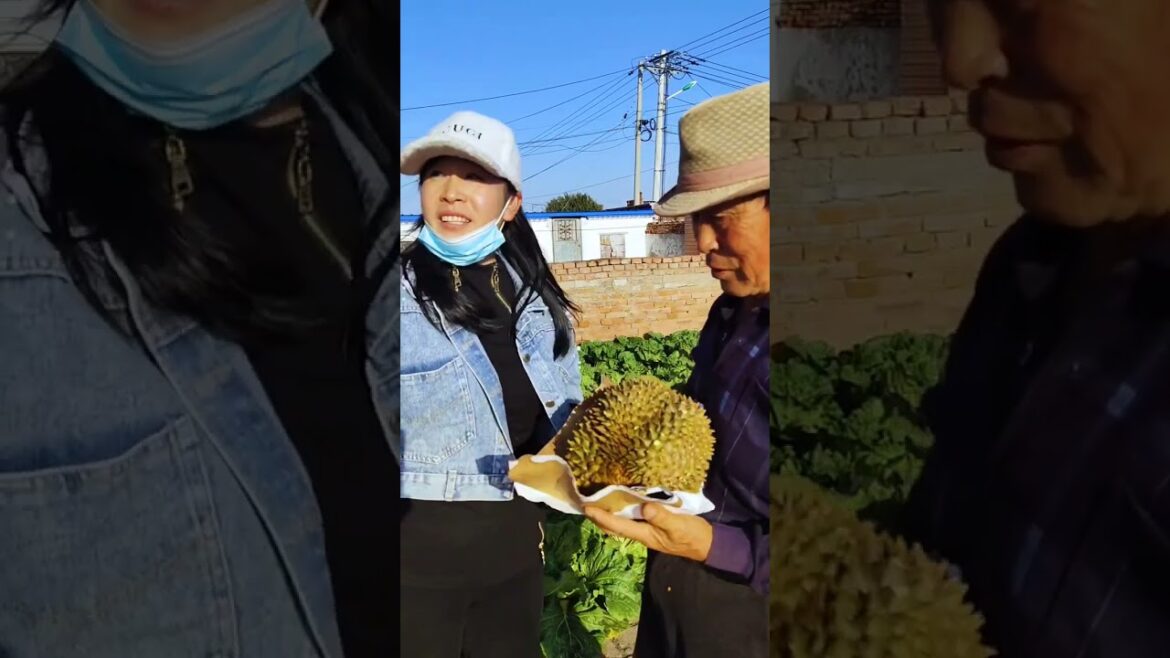 Beautiful Nature Garden Plan Natural life Style Beautiful landscapes