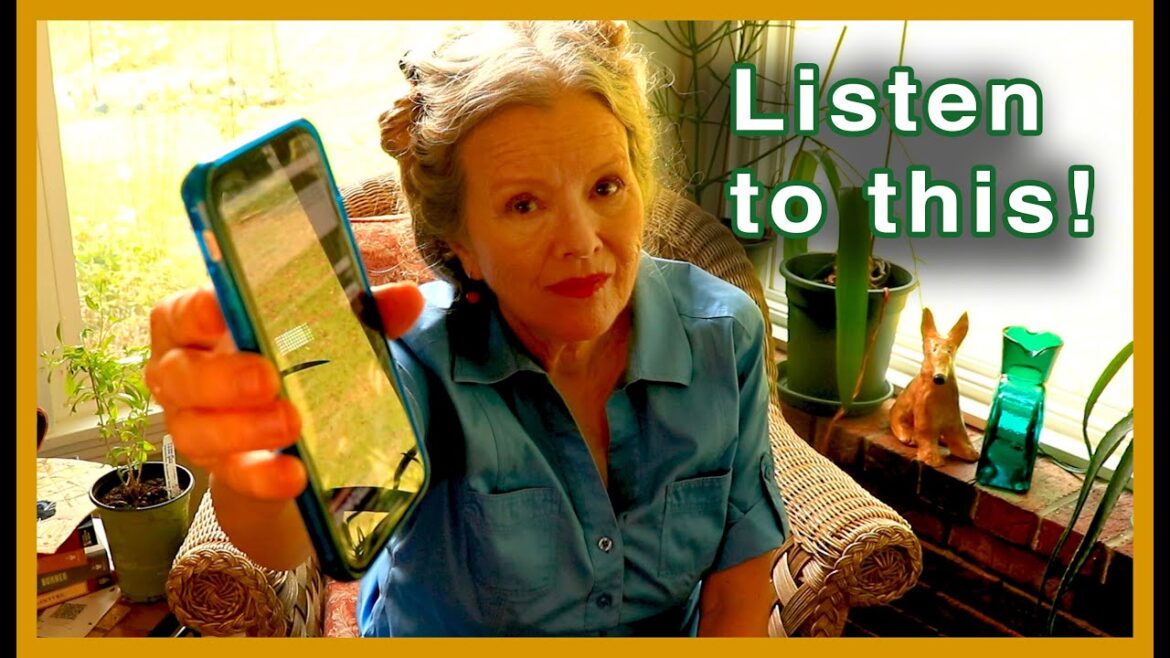 Kaye Kittrell: ANOTHER ACCIDENT (OUCH!) + New YouTube policy ANOTHER ACCIDENT (OUCH!) + New YouTube policy