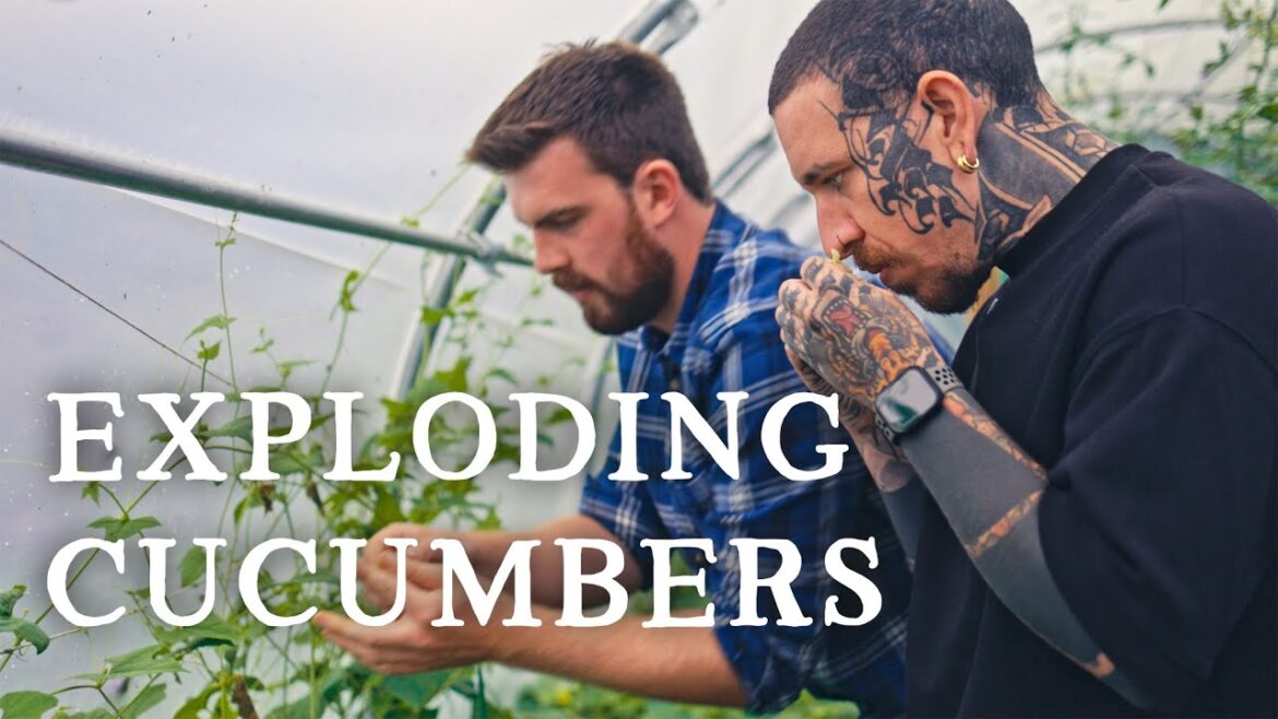 Huw Richards: Tasting Tour of The Garden | ft. @SpicyMoustache | Huw’s Garden Diaries Tasting Tour of The Garden | ft. @SpicyMoustache | Huw's Garden Diaries