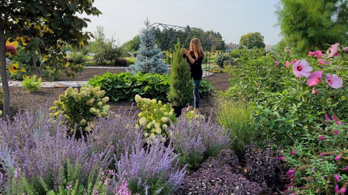 Garden Answer: Planting 5 Gorgeous Evergreens (That Stay Small)! ๐ฒ๐ฟ๐ // Garden Answer Planting 5 Gorgeous Evergreens (That Stay Small)! ๐ฒ๐ฟ๐ // Garden Answer