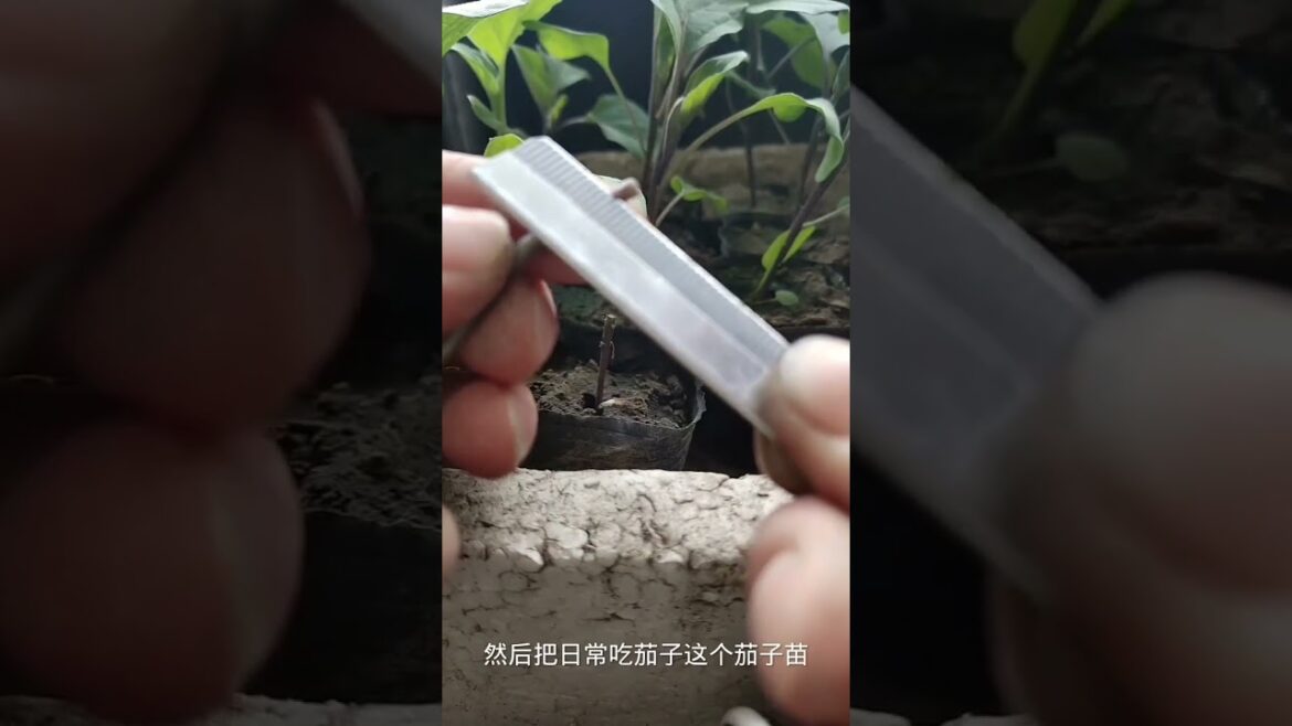 Beautiful Nature Garden Plan Natural life Style Beautiful landscapes