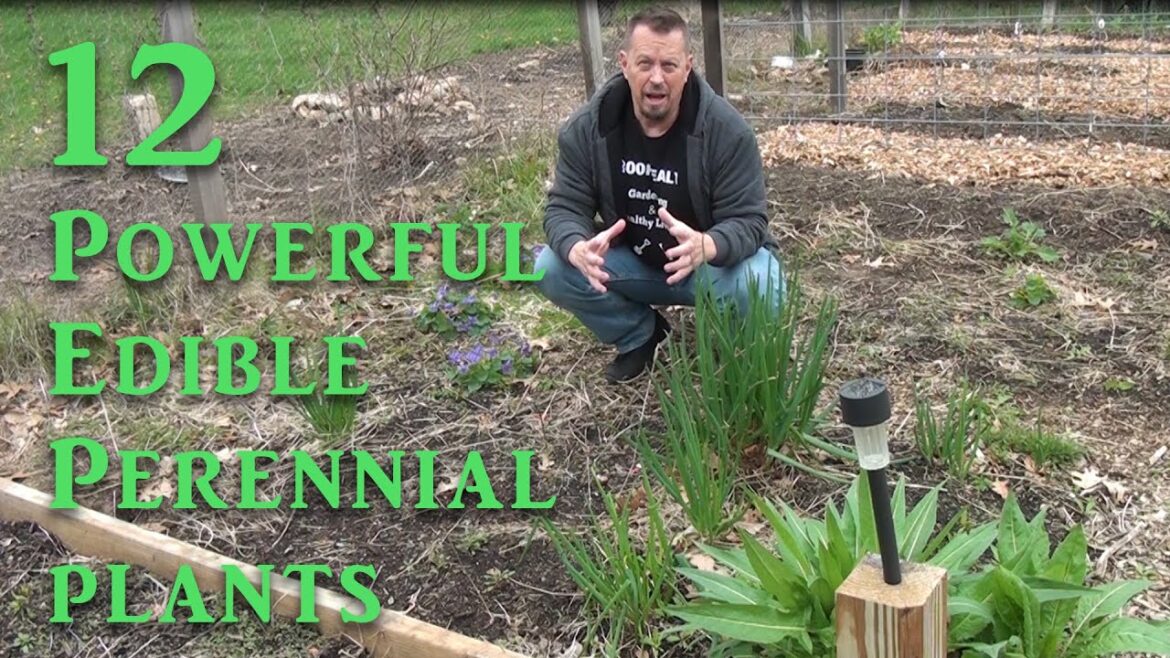 Powerful Plants – Edible Perennial Garden Tour Powerful Plants - Edible Perennial Garden Tour