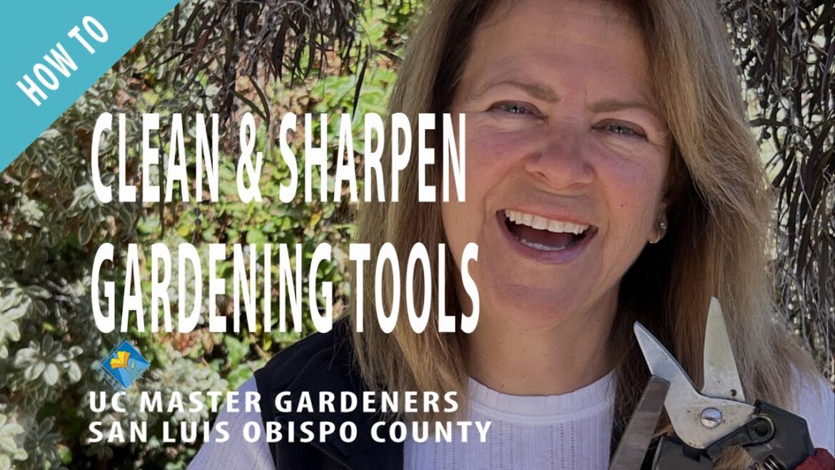 How to Clean and Sharpen Gardening Tools How to Clean and Sharpen Gardening Tools