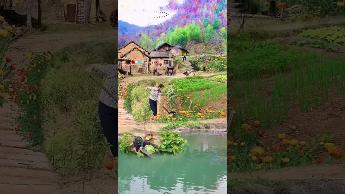 Beautiful Nature Garden Plan Natural life Style Beautiful landscapes Beautiful Nature Garden Plan Natural life Style Beautiful landscapes