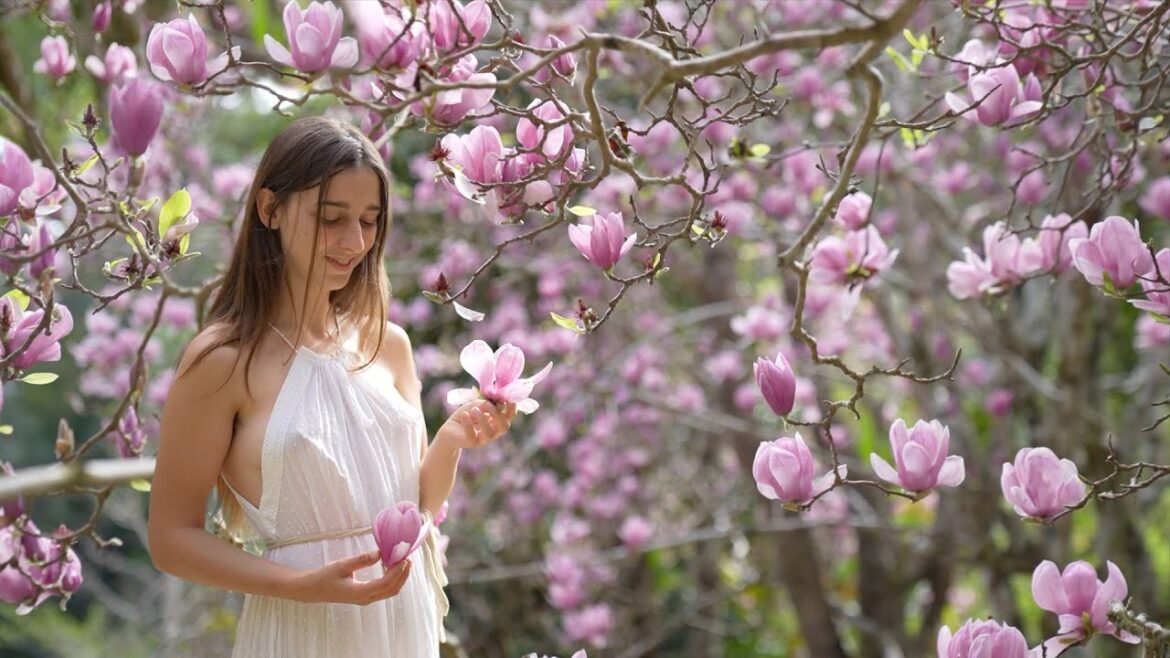 The Art of Living with Nature The Art of Living with Nature