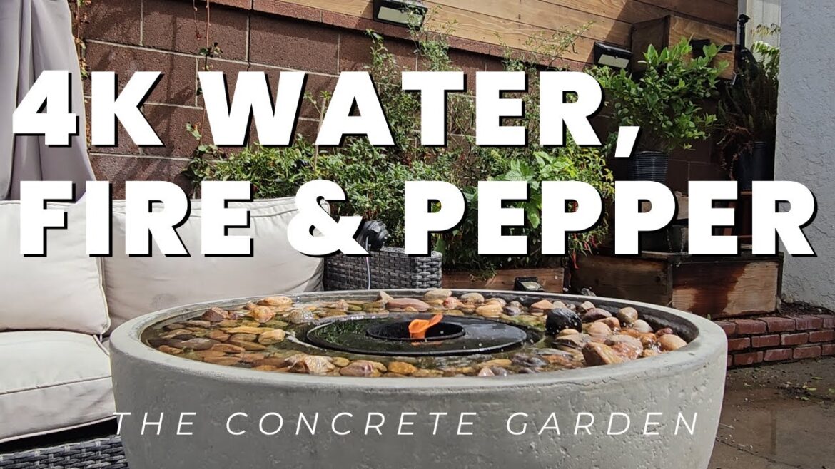 Fire in the Fountain, Peppers in the Sun 4K