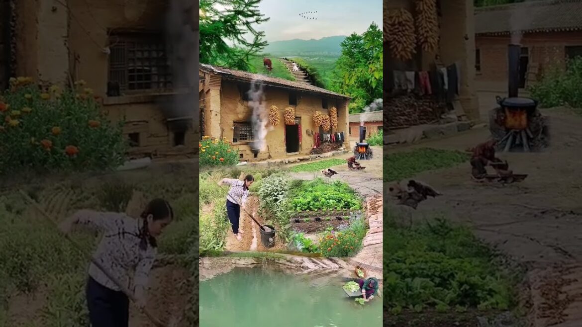 Beautiful Nature Garden Plan Natural life Style Beautiful landscapes Beautiful Nature Garden Plan Natural life Style Beautiful landscapes