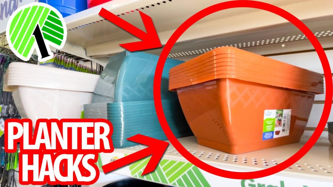 GRAB $1 PLANTERS from the Dollar Store for these CRAZY GOOD HACKS! (everyone will be copying these!) GRAB $1 PLANTERS from the Dollar Store for these CRAZY GOOD HACKS! (everyone will be copying these!)