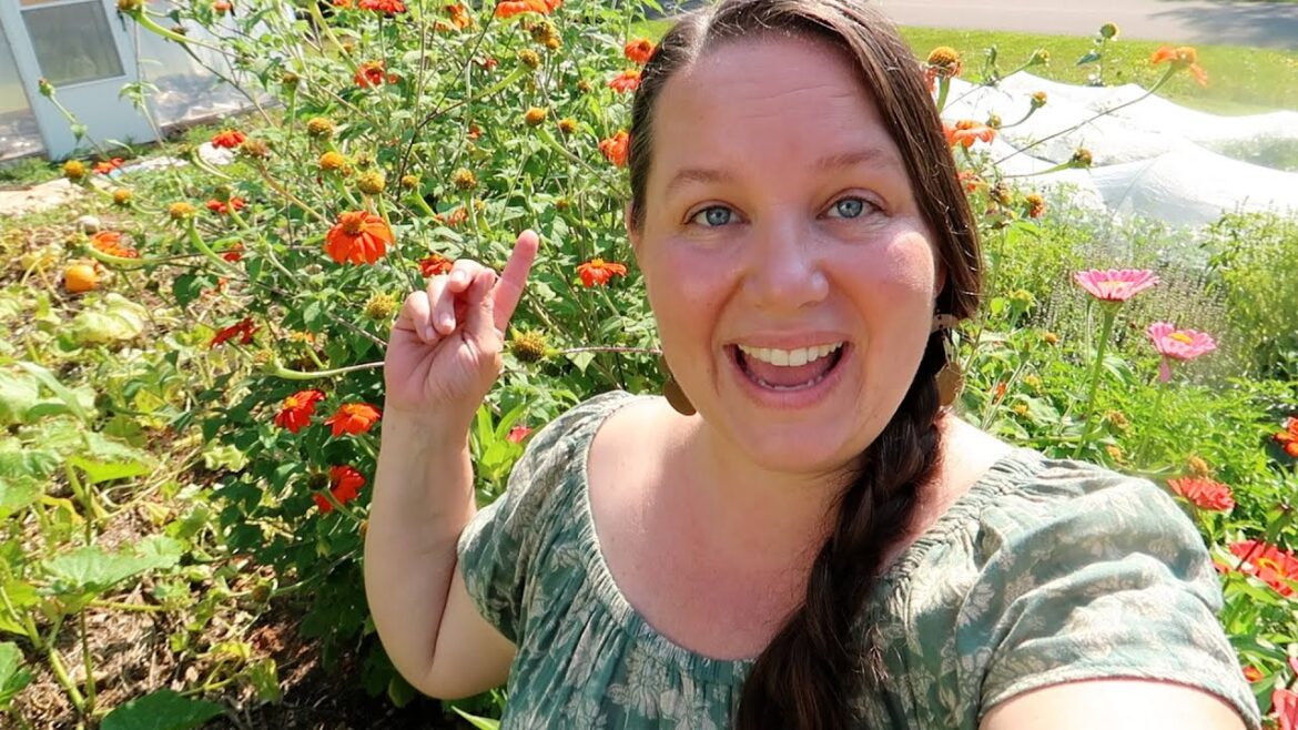 Suburban Front Yard- August Garden Tour – Beauty, Challenges and Realities Suburban Front Yard- August Garden Tour - Beauty, Challenges and Realities