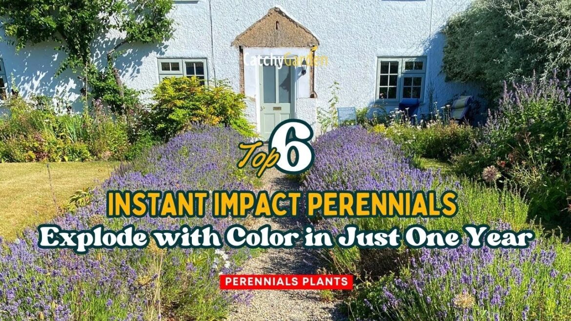 Top 6 Perennials That Explode with Color in Just One Year π·π»πΈπ // Gardening Ideas Top 6 Perennials That Explode with Color in Just One Year π·π»πΈπ // Gardening Ideas