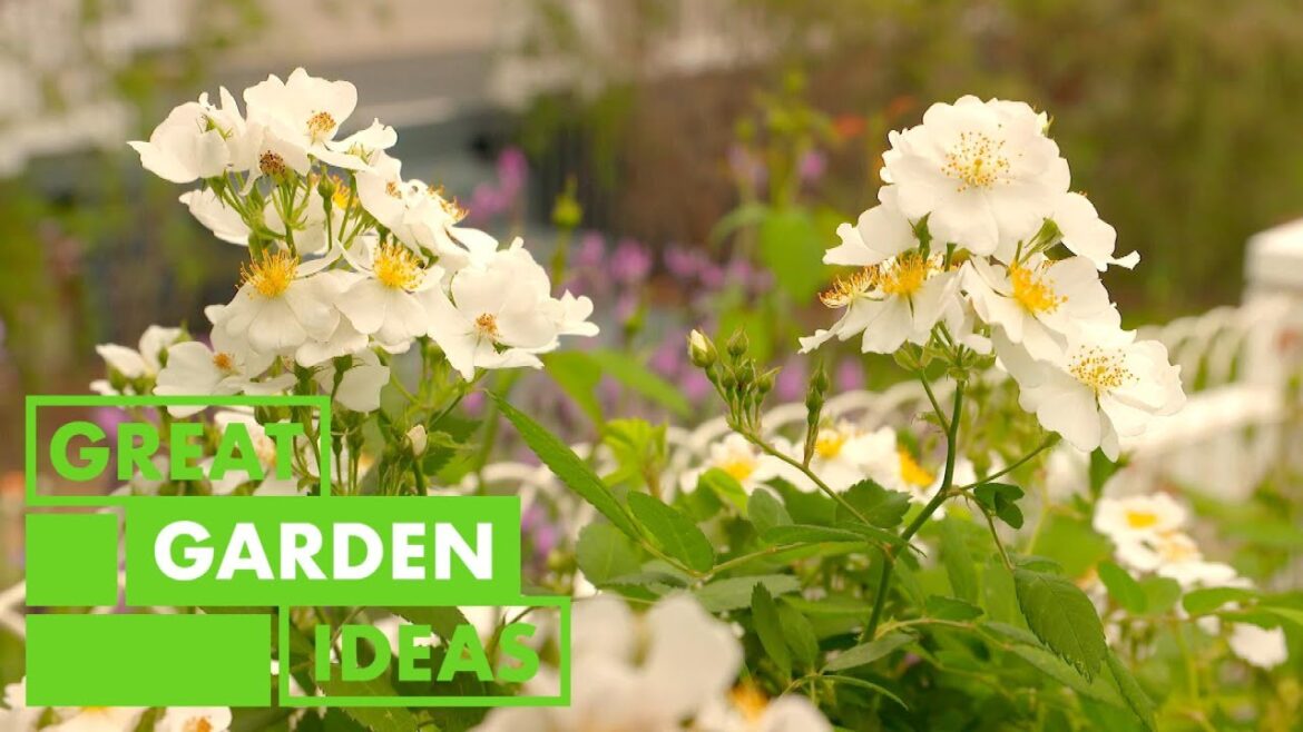 3 x Weekend Garden Projects | GARDEN | Great Home Ideas 3 x Weekend Garden Projects | GARDEN | Great Home Ideas