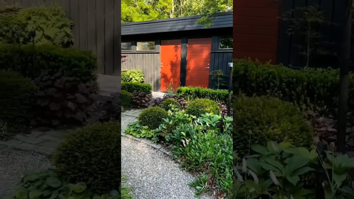 “🌱Quick Tips for Thriving Gardens: Green Thumb Magic in Seconds!🌼 | Short Gardening Guide” #garden "🌱Quick Tips for Thriving Gardens: Green Thumb Magic in Seconds!🌼 | Short Gardening Guide" #garden