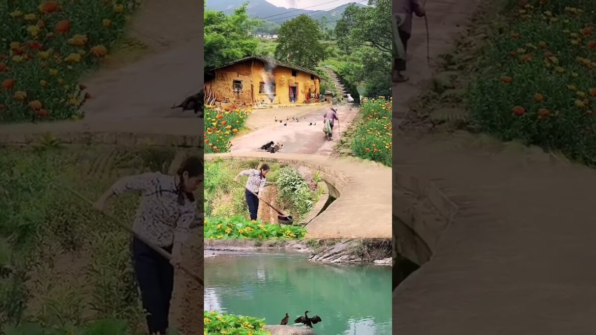 Beautiful Nature Garden Plan Natural life Style Beautiful landscapes Beautiful Nature Garden Plan Natural life Style Beautiful landscapes