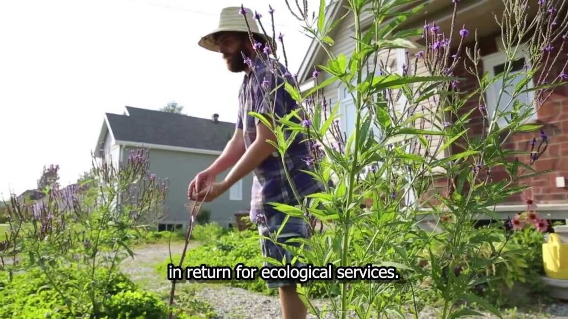Écomestible, edible landscaping and urban permaculture Écomestible, edible landscaping and urban permaculture