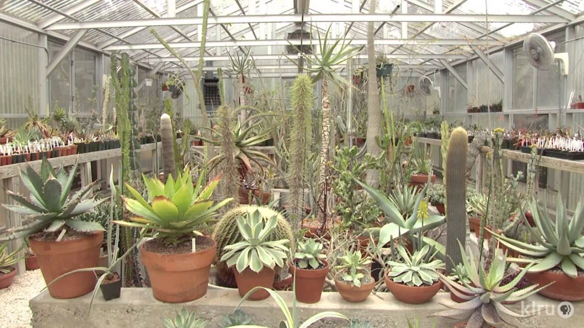 Cactus and succulent garden and greenhouses | Bob Barth | Central Texas Gardener Cactus and succulent garden and greenhouses | Bob Barth | Central Texas Gardener