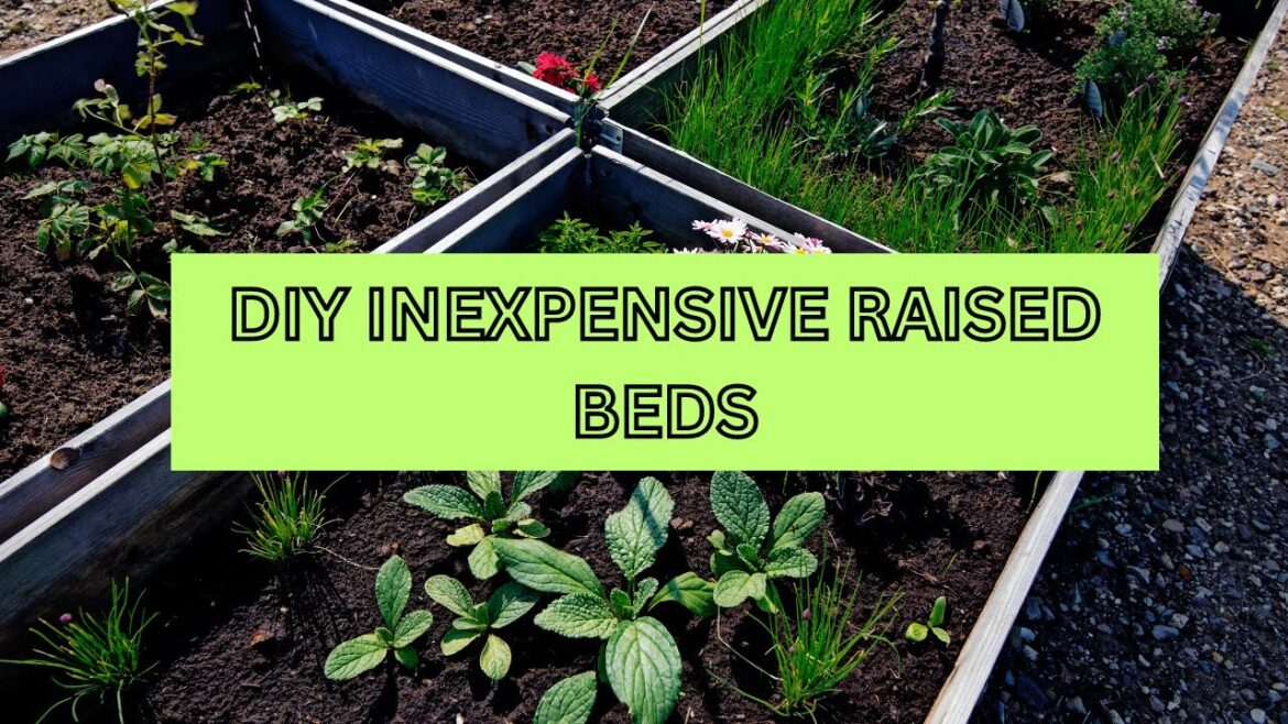 Unbelievable! Turn $20 into a Gorgeous Garden! Watch Now!