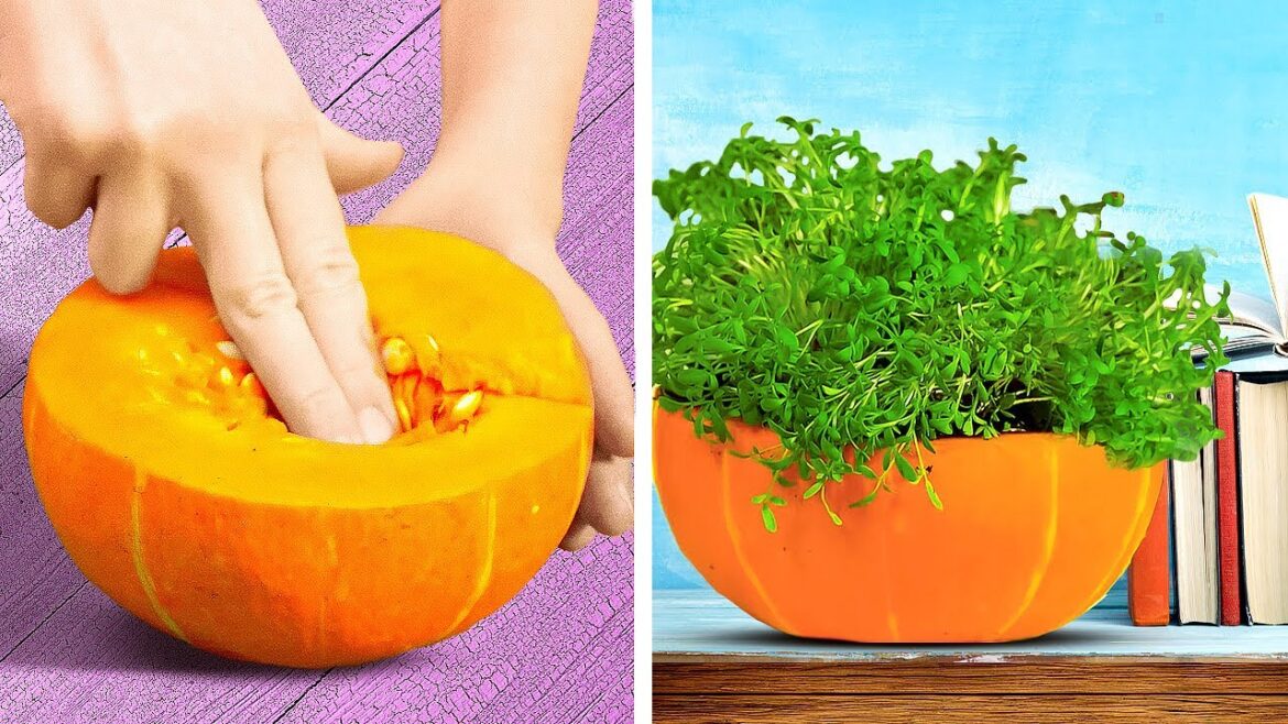 🌱 Organize Your Indoor Garden: Tips and Tricks to Maximize a Space 🌱 Organize Your Indoor Garden: Tips and Tricks to Maximize a Space