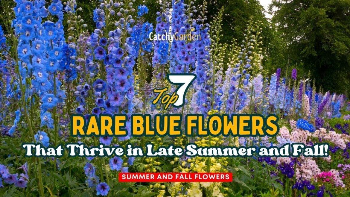 Top 7 Rare Blue Flowers That Thrive in Late Summer and Fall ! 💐☀️🌺 // Gardening Ideas
