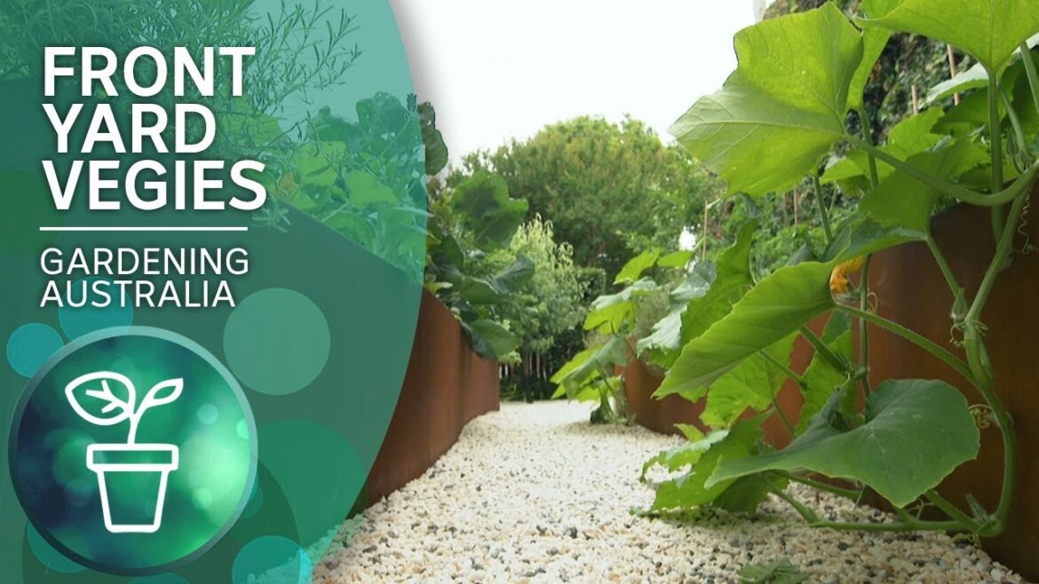 Growing vegies in style in a small space garden