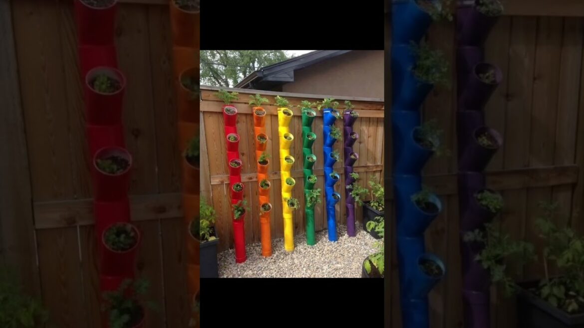 Creative Gardening Ideas #shorts #ytshorts #trending #garden #gardening #creative #A.Sfashionworld Creative Gardening Ideas #shorts #ytshorts #trending #garden #gardening #creative #A.Sfashionworld