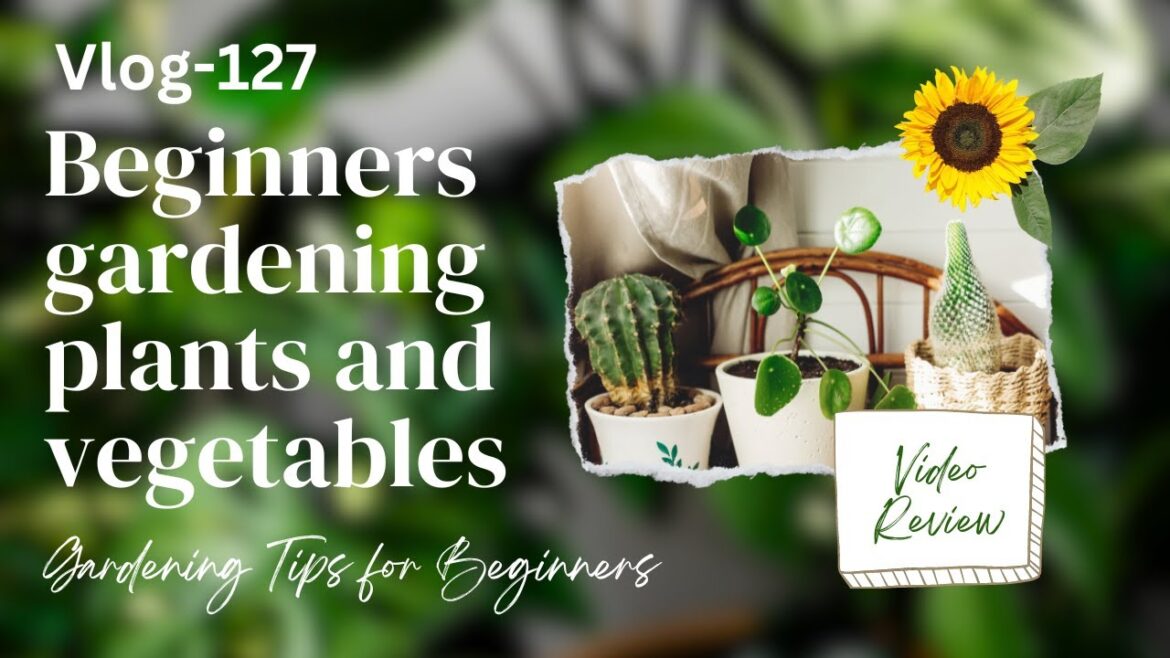 Beginners gardening plants and vegetables, Gardening Tips for Beginners | Vlog-127 Beginners gardening plants and vegetables, Gardening Tips for Beginners | Vlog-127