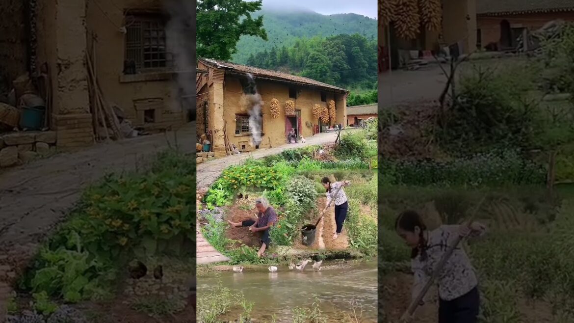 Beautiful Nature Garden Plan Natural life Style Beautiful landscapes