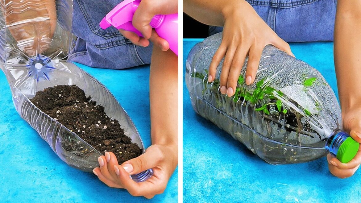 Smart Plant Growing Hacks And Useful Tools For Your Garden