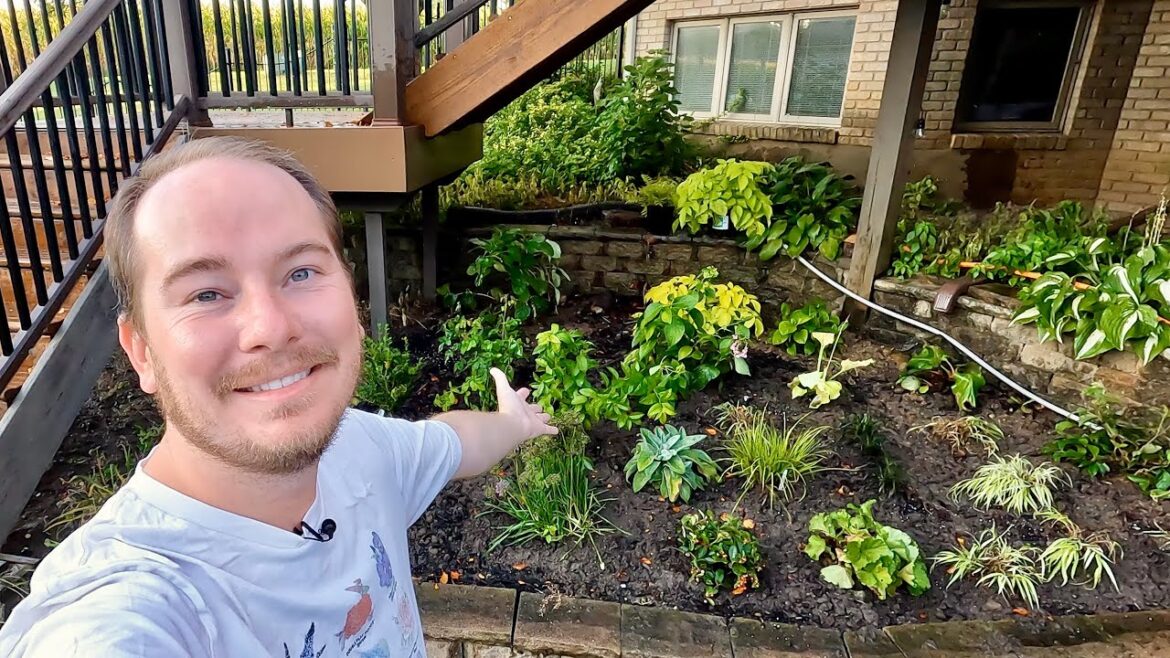 I WAS ATTACKED | The First Garden at the New House and New Proven Winner’s Shrubs I WAS ATTACKED | The First Garden at the New House and New Proven Winner's Shrubs