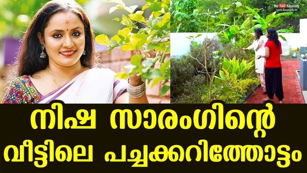 Vegetable garden at Nisha Sarang’s home | Day With A Star Vegetable garden at Nisha Sarang's home | Day With A Star