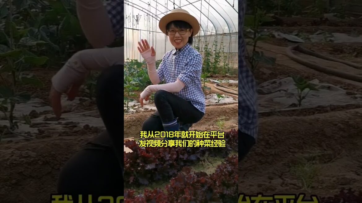 Beautiful Nature Garden Plan Natural life Style Beautiful landscapes