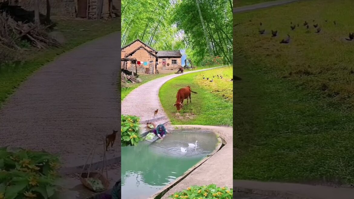 Beautiful Nature Garden Plan Natural life Style Beautiful landscapes