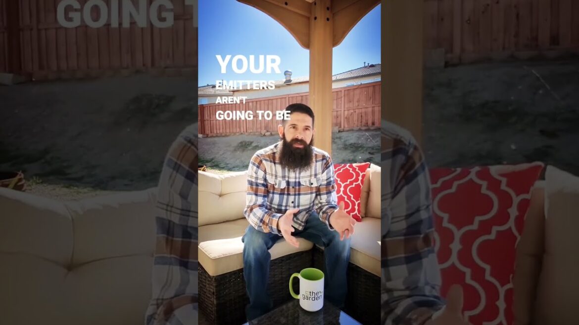 How many drip emitters can I install? 🤔 #gardening #dripirrigation #gardeningtips How many drip emitters can I install? 🤔 #gardening #dripirrigation #gardeningtips