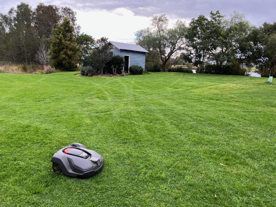 An image to drive pure lawn-porners nuts :) - been away for two weeks, Susan is doing her thing