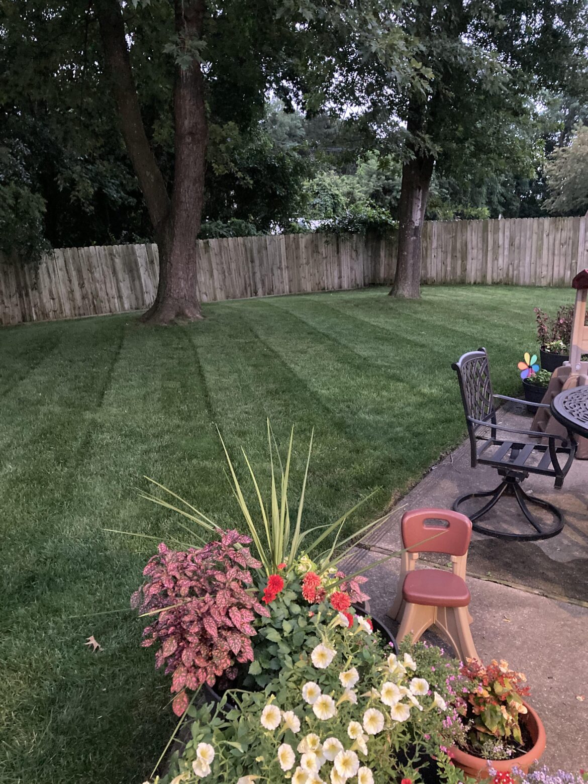 Back yard cut feeling good