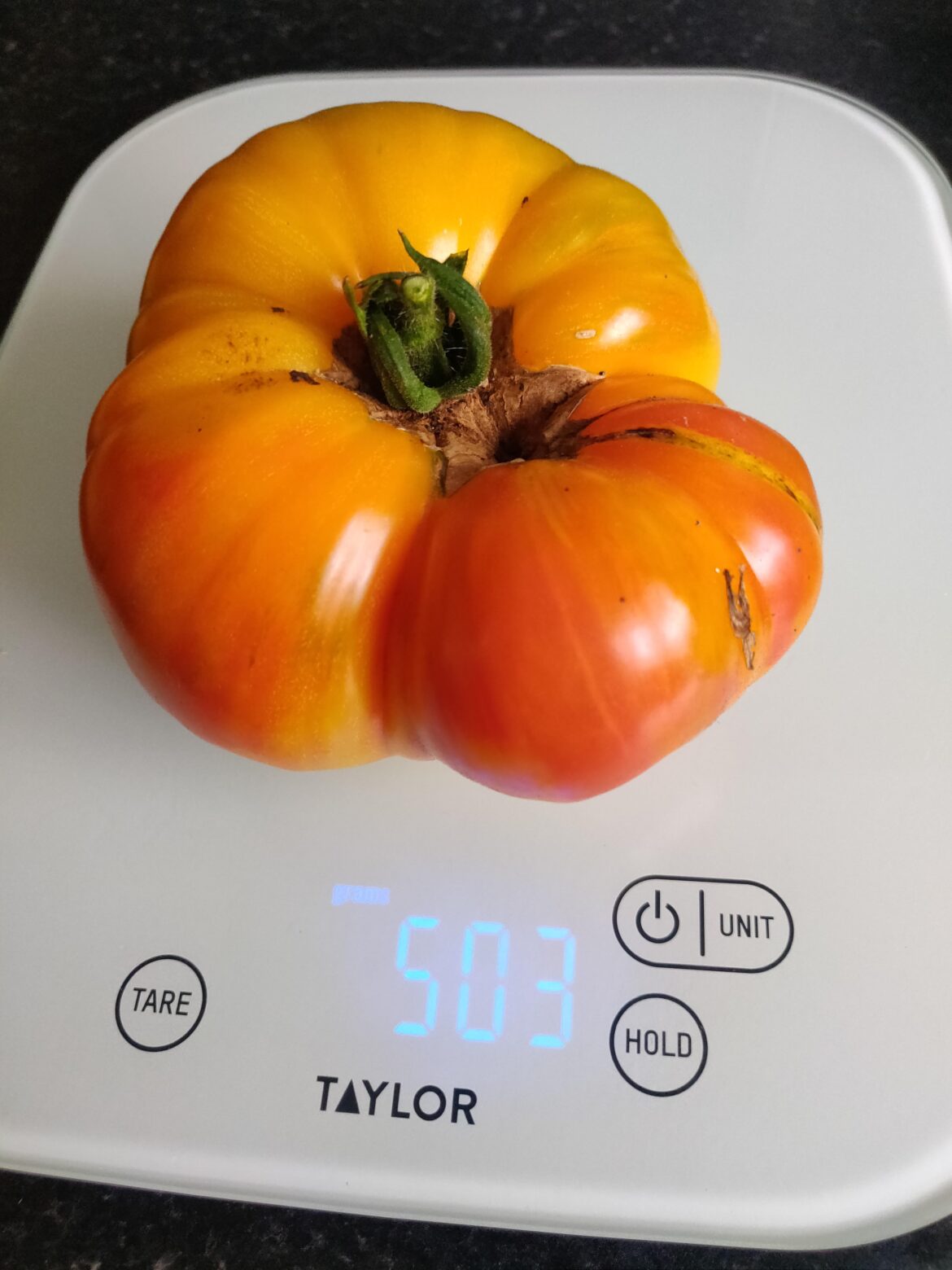 My partner is very proud of his giant 500g tomato :)