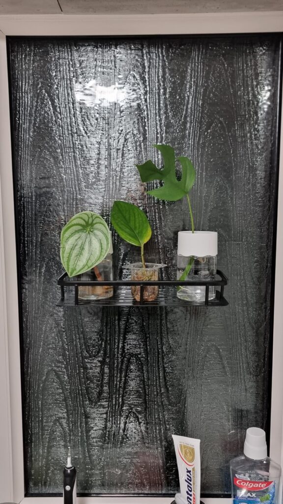 Sharing this here because no one else I know cares