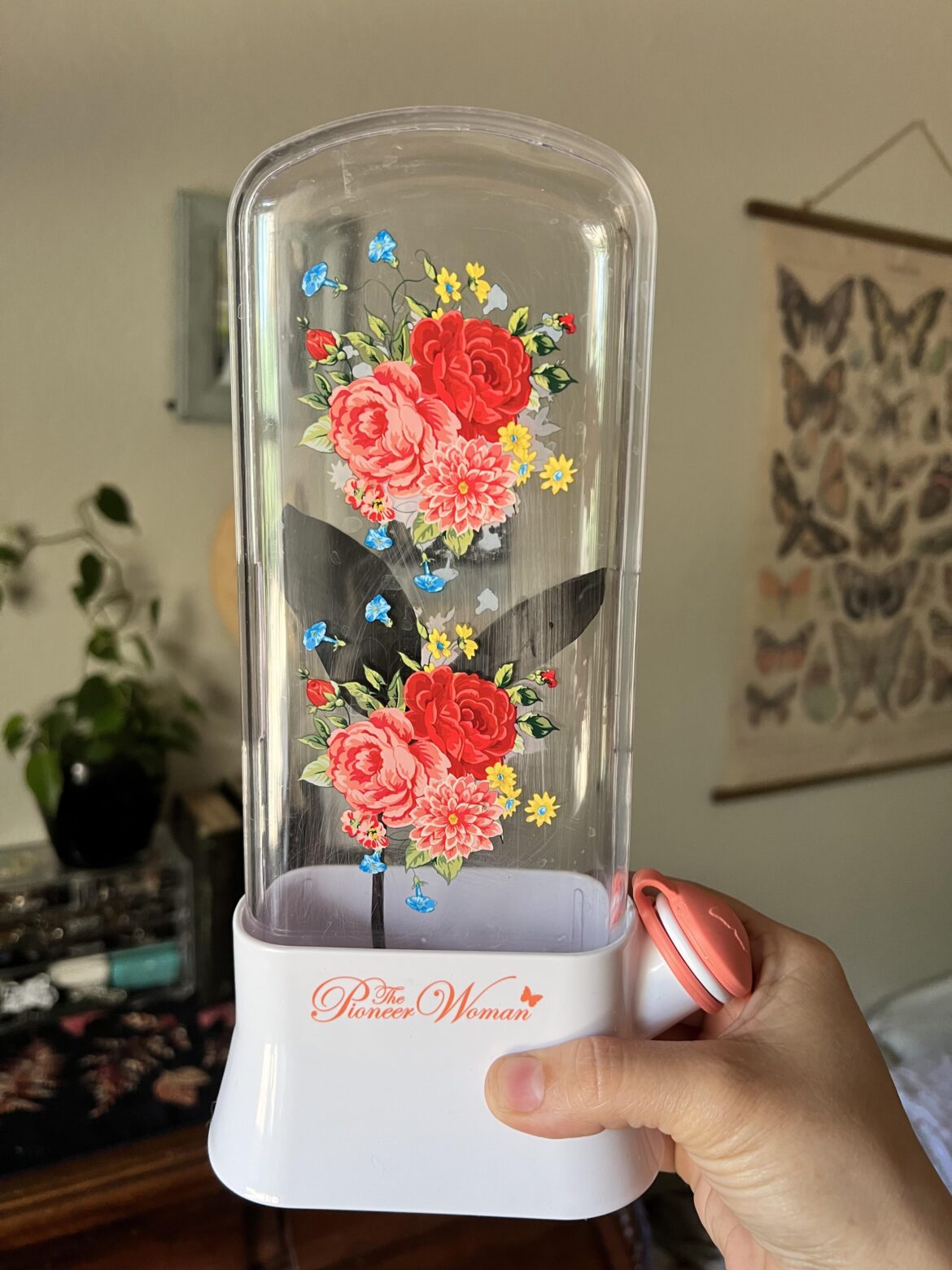 Using Pioneer Woman’s Herb Keepers to Prop Plant Cuttings